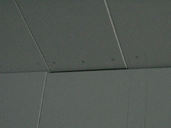 現場の写真()