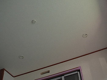 現場の写真()