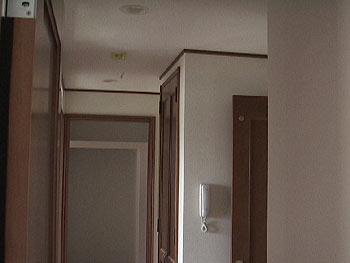 現場の写真()
