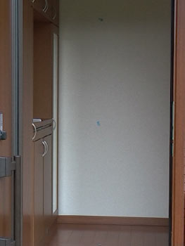 現場の写真()