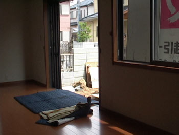 現場の写真()