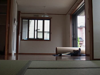 現場の写真()